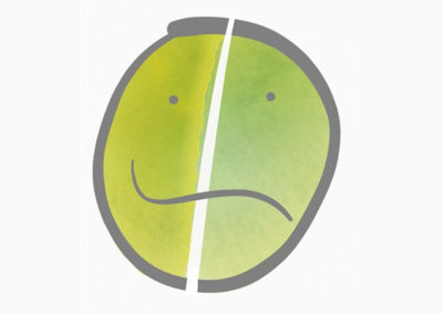 Bipolar Disorder