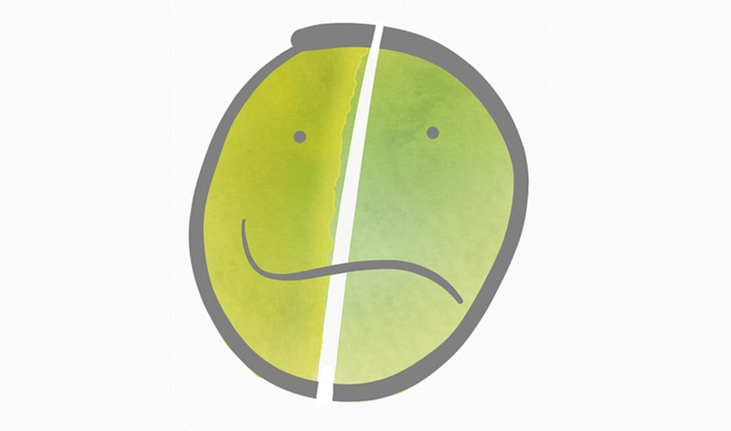 Bipolar Disorder Equip
