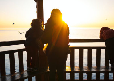 Is Mental Illness Inherited?
